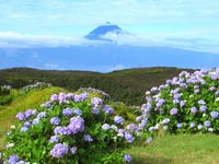 Azoren: Blick von Sao Jorge nach Pico (© Reiseagentur Behrens & Holzmann)